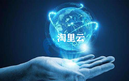 淘里云智能系统,打击违规 刷单 ,实现b2b商家智能ai服务